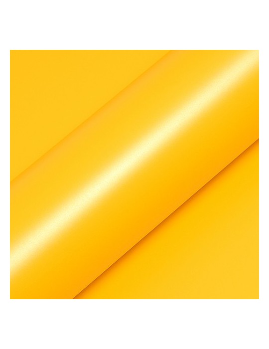 T5116 - Bouton d'or